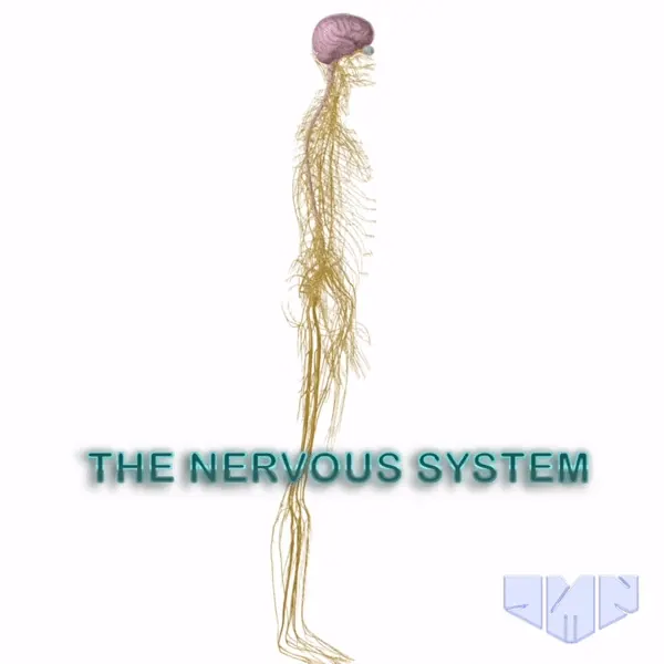 The Nervous System