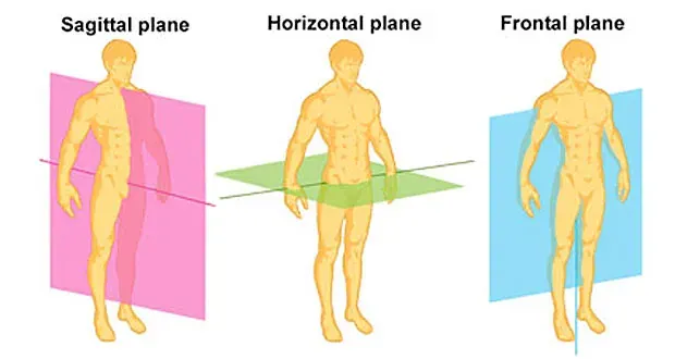Planes of Movement