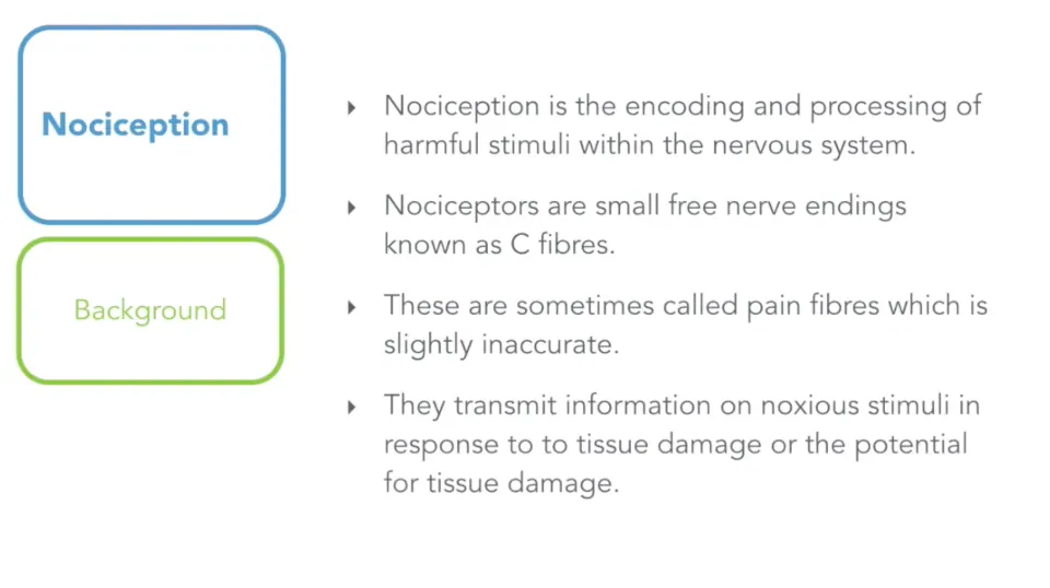 Nociception