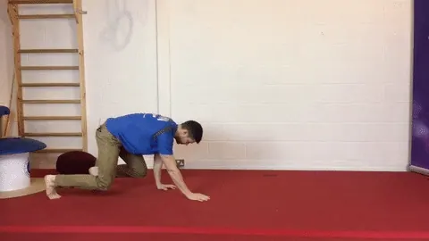 How to Crawl